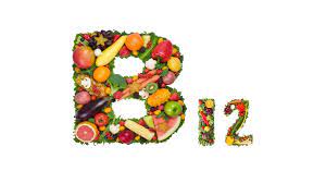 Do insects have Vitamin B12?