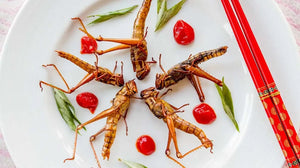 STAR INSECTS: WHEN CRICKETS, BEETLES AND GRUBS BECOME GOURMET: HERE ARE THE BEST RESTAURANTS AND MENUS