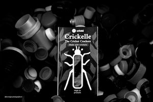 crickelle by Denis Magro