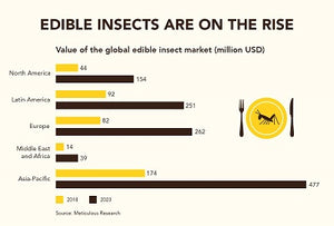 Edible insects market growth