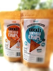 New: insects-based chips
