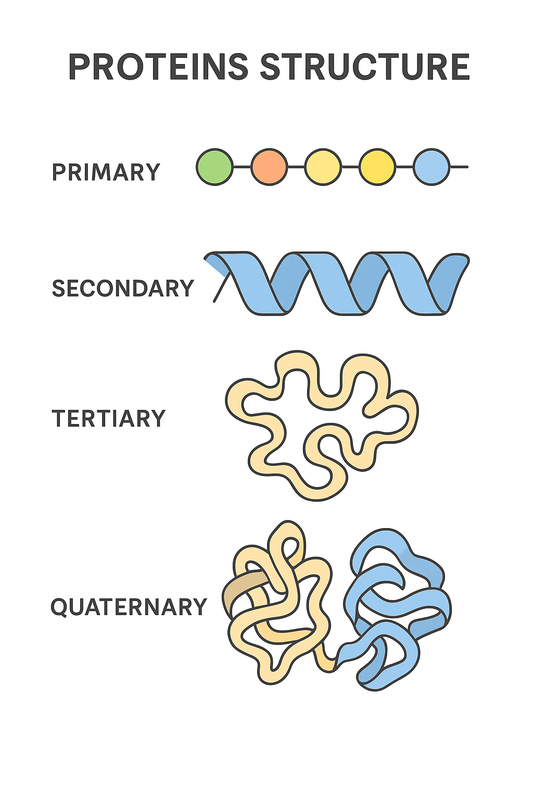 What complete proteins are