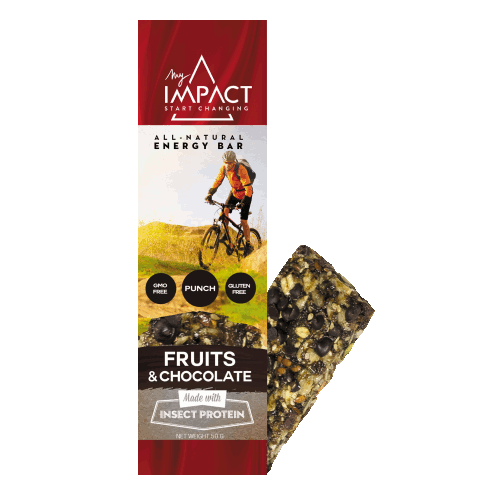 Micronutris - My Impact Fruit chocolate energy bar